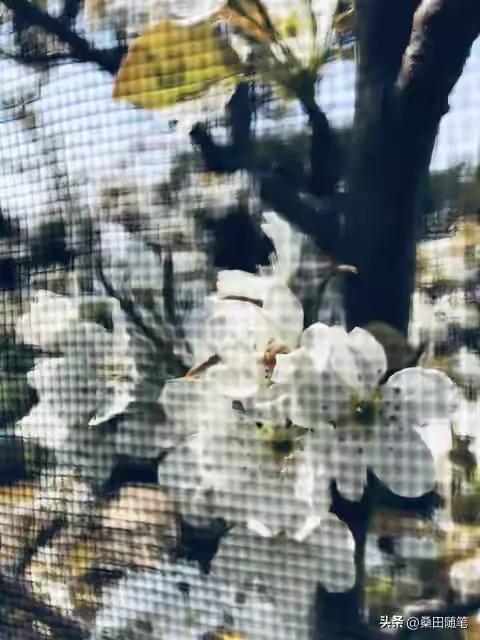婚外情背后的共性_婚外情对_被忽视和缺乏认同感