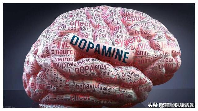 偷情基因DRD4_出轨的原因_背叛心理动因