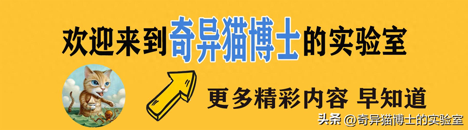 婚外情男人如何挽回妻子_男人婚外情后的反思与改变_婚外情自诉