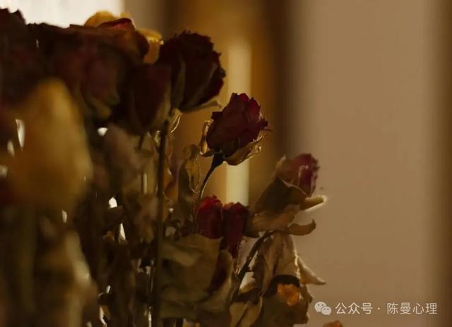 出轨的原因_婚姻背叛男友出轨只是玩玩怎么判断_男人出轨后说最爱妻子可信吗